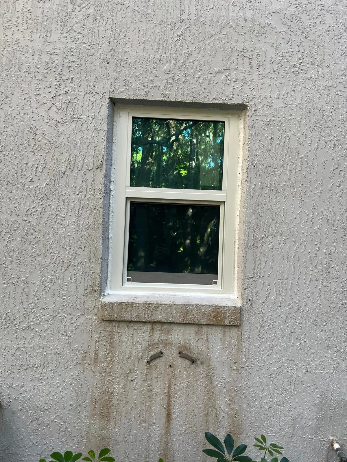 Compact Single Hung Window