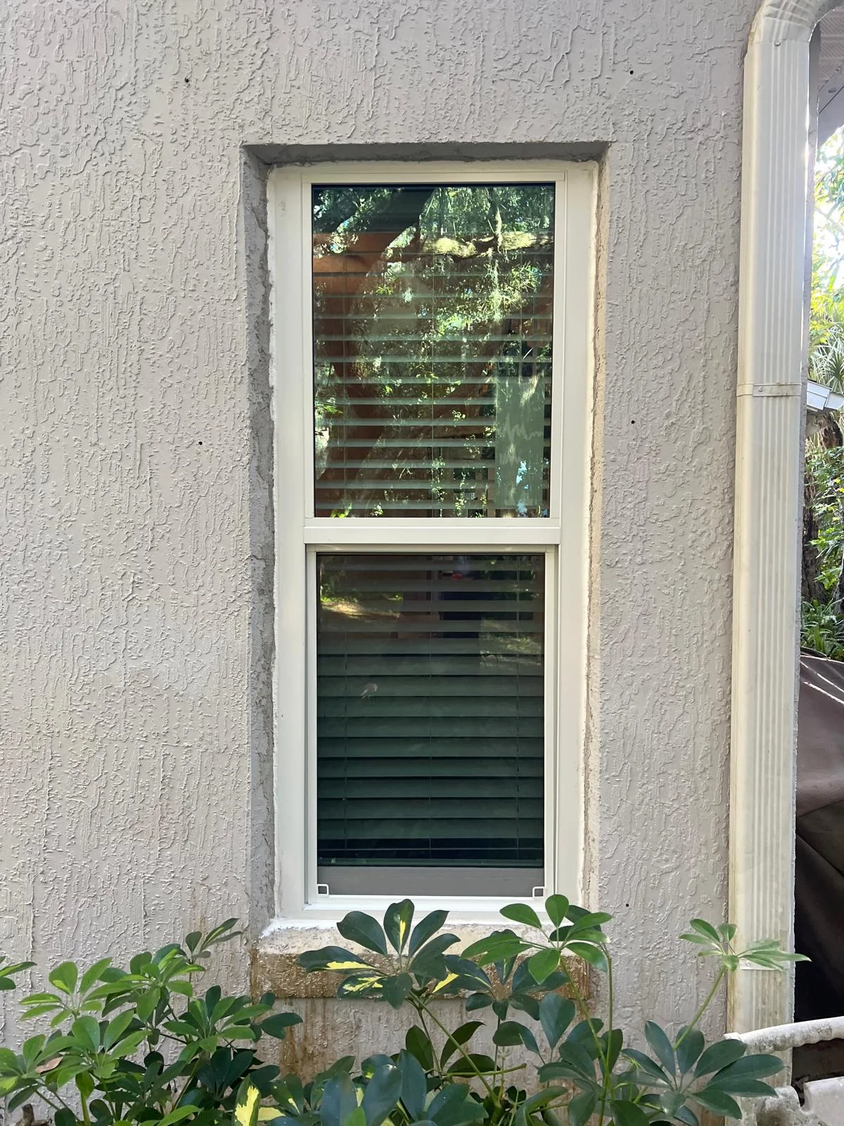 Tall Single Hung Window