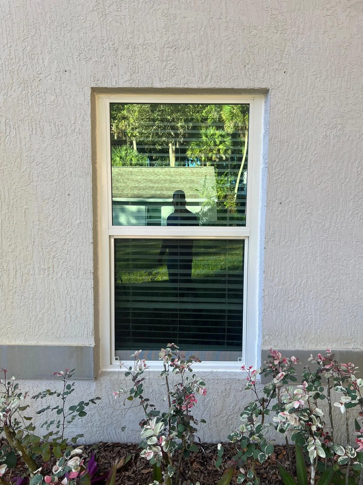 Window with Garden Flowers