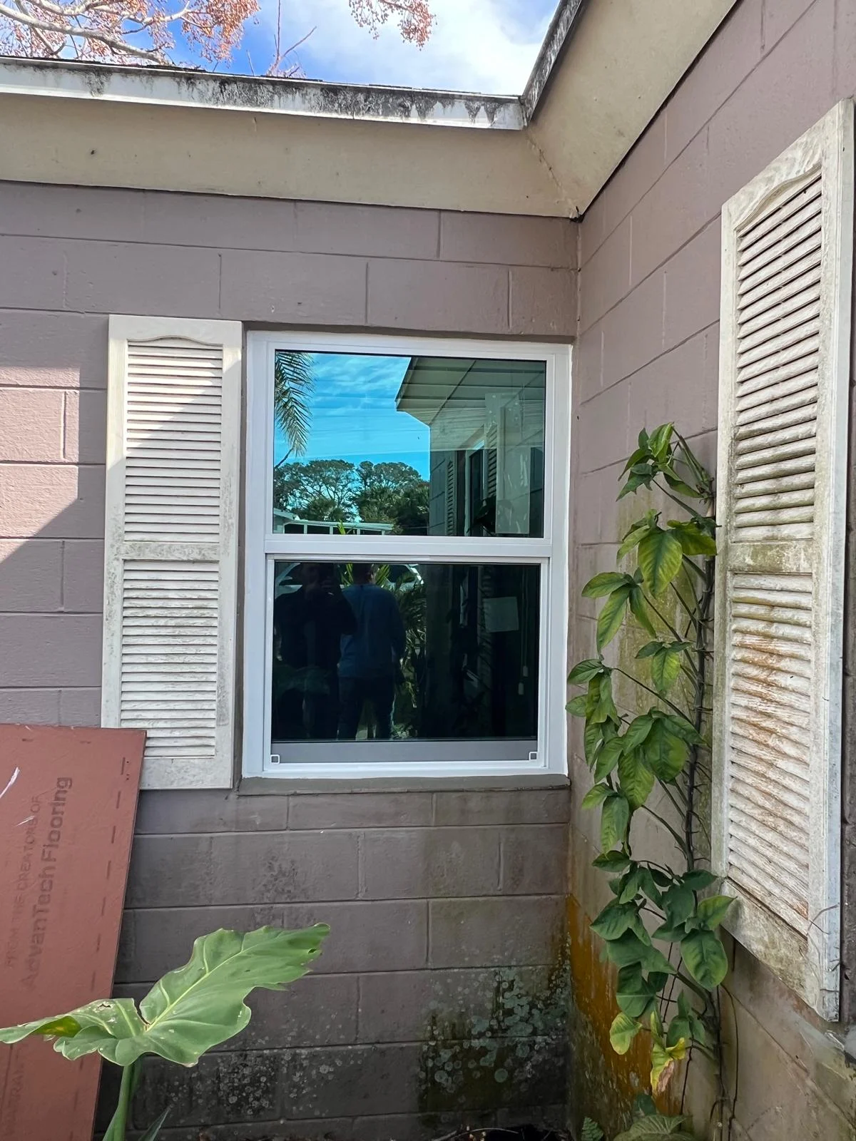 Single Hung with Decorative Shutters