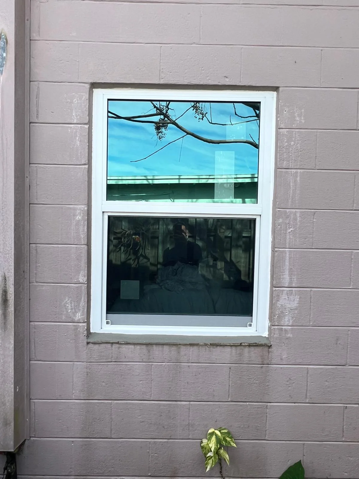 Single Hung Impact Window