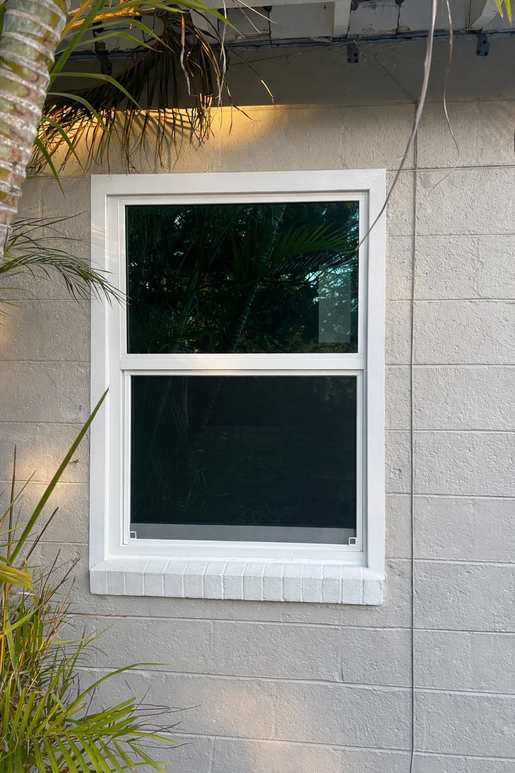 Tropical Garden Reflection In Window