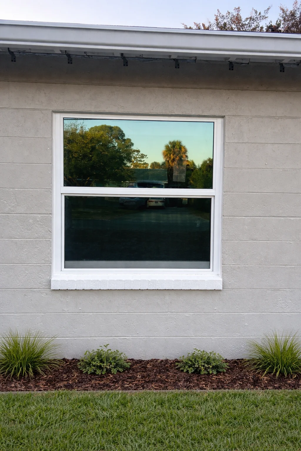 Reflective Window And Lush Yard